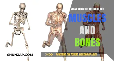 Essential Vitamins for Strong Muscles and Healthy Bones: A Guide