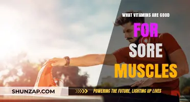 Top Vitamins to Relieve Sore Muscles After Intense Workouts