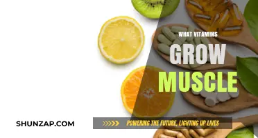 Essential Vitamins for Muscle Growth: Fuel Your Fitness Journey