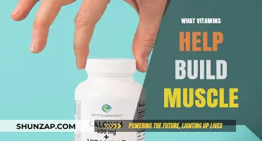 Essential Vitamins to Boost Your Muscle-Building Journey