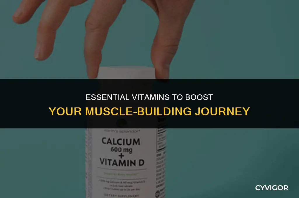 what vitamins help build muscle