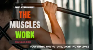 Essential Vitamins for Muscle Function and Strength Explained