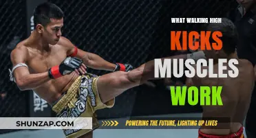 Walking High Kicks: Muscles Engaged and Benefits Explained