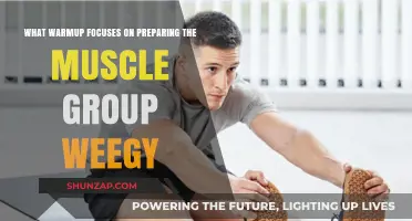 Effective Warmup Techniques to Prepare Muscle Groups for Optimal Performance