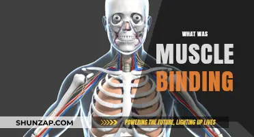 Muscle Binding: Ancient Practice, Modern Benefits