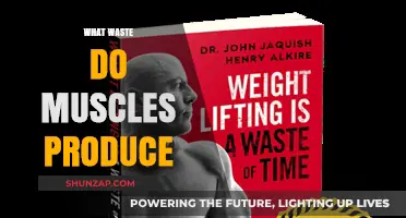 Muscles' Surprising Waste: Lactic Acid and More