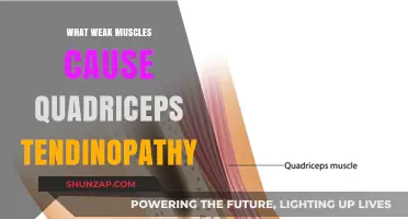 Weak Hip and Core Muscles Linked to Quadriceps Tendinopathy