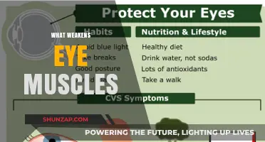 Eye Muscle Weakness: What's the Cause?