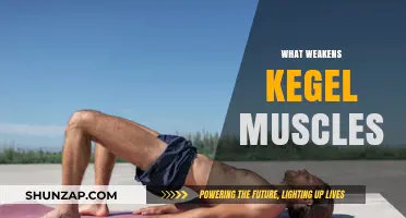 How Certain Habits Weaken Your Pelvic Floor