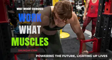 Effective Weight Exercises Targeting Specific Muscle Groups for Optimal Results