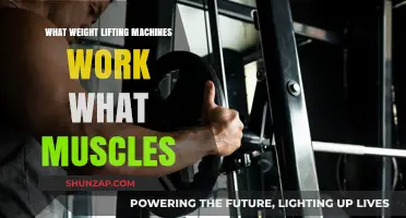 Effective Weight Lifting Machines and the Muscles They Target