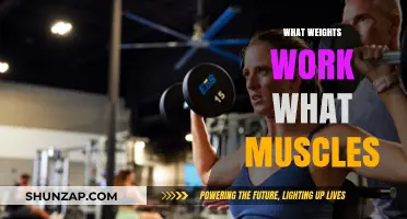 Weights and Muscles: Targeted Training for Optimal Strength Gains