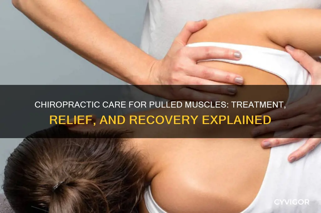 what will a chiropractor do for a pulled muscle