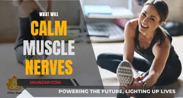 Muscle Nerve Calming: Natural Ways to Ease Tension