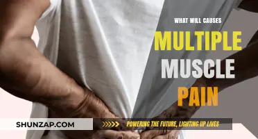 Understanding the Common Causes of Widespread Muscle Pain and Discomfort