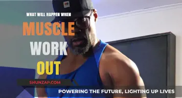Unveiling the Science: How Muscles Transform with Consistent Workouts
