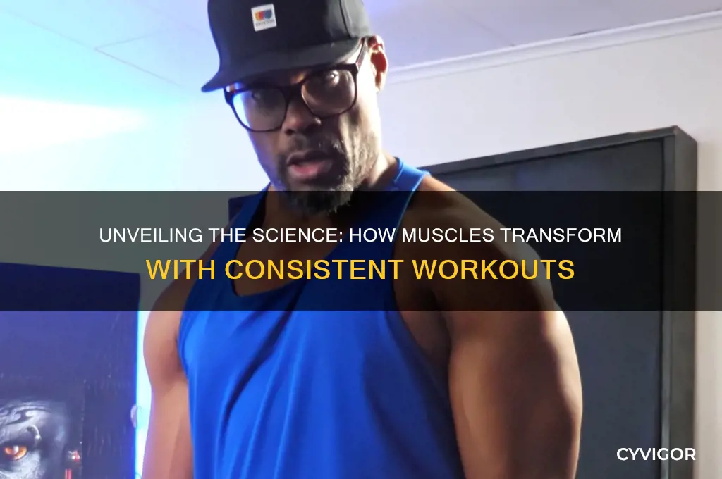 what will happen when muscle work out