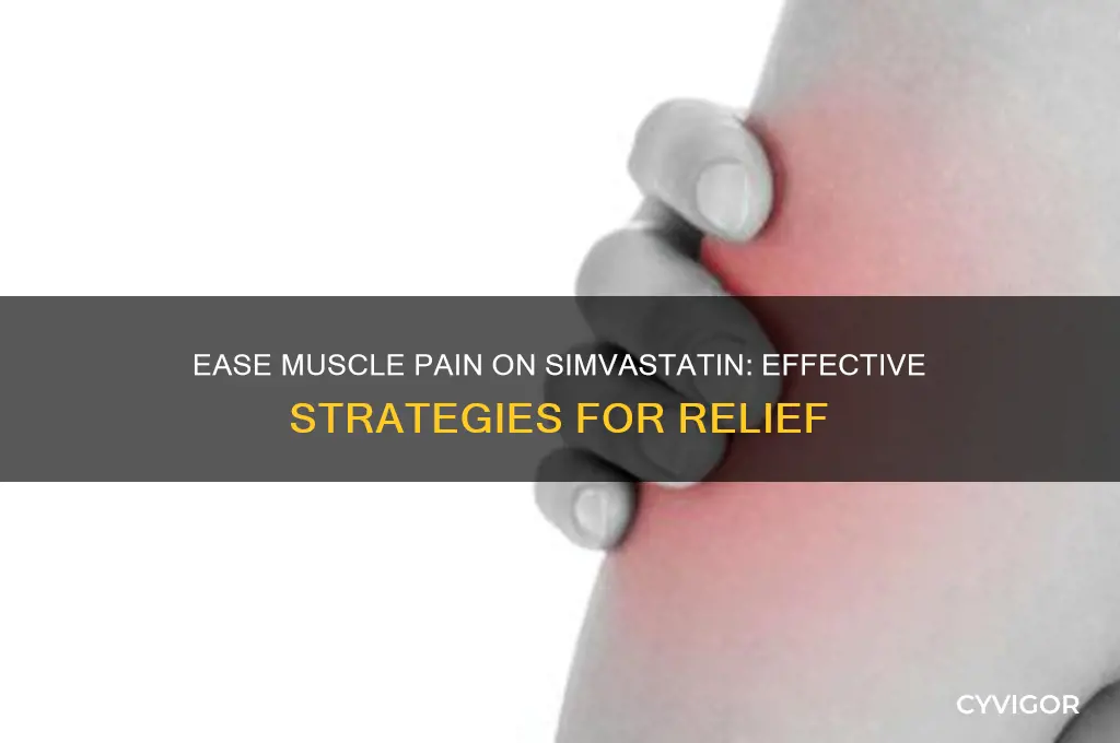 what will reduce muscle pains while on simva statin