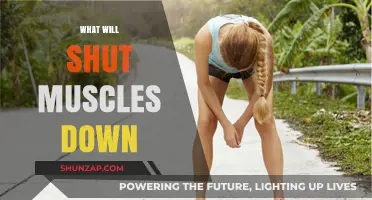 Muscle Shutdown: What Factors Cause Muscle Failure?