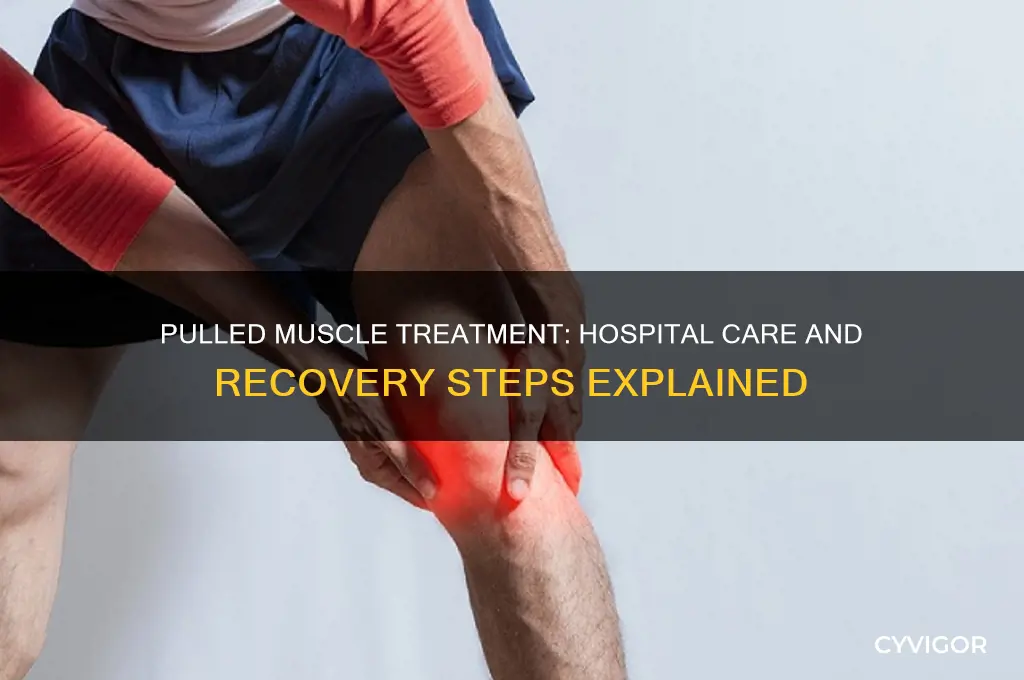 Pulled Muscle Treatment: Hospital Care And Recovery Steps Explained ...