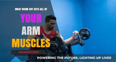 Ultimate Arm Workout: Target All Muscles for Strength and Tone