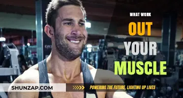Effective Workouts to Target and Strengthen Every Muscle Group