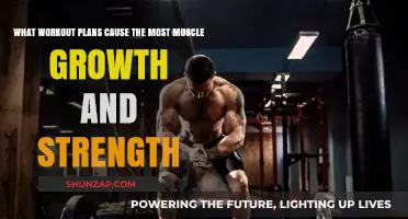 Maximize Muscle Growth and Strength: Top Workout Plans Revealed