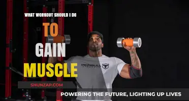 Effective Muscle-Building Workouts: Strategies for Strength and Size Gains