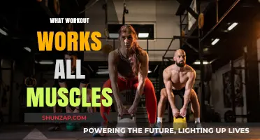 Full-Body Fitness: Discover the Ultimate Workout for Total Muscle Engagement