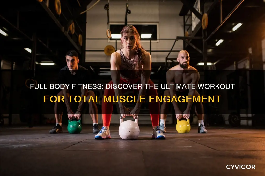 what workout works all muscles