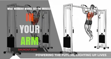 Effective Arm Workouts: Targeting Muscles for Strength and Definition