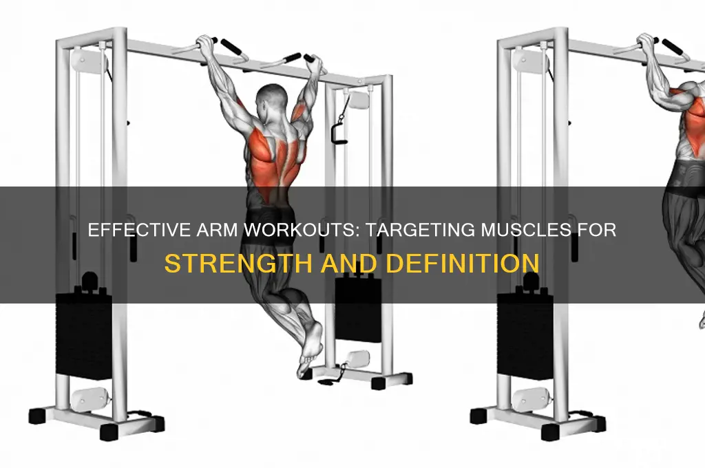 what workout works out the muscles in your arm