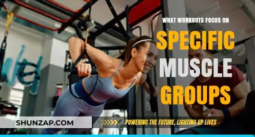 Targeted Training: Workouts to Sculpt Specific Muscle Groups Effectively