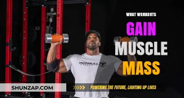 Effective Workouts to Build Muscle Mass and Strength Fast
