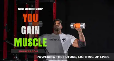 Effective Muscle-Building Workouts to Maximize Strength and Size Fast