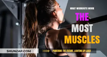 Maximize Your Gains: Full-Body Workouts That Engage Multiple Muscles