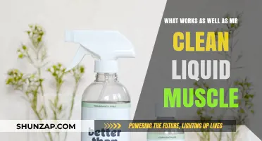 Effective Alternatives to Mr. Clean Liquid Muscle for Tough Cleaning Jobs