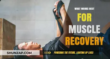 Effective Muscle Recovery Strategies: What Works Best for Optimal Healing