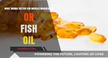 Magnesium vs. Fish Oil: Which Boosts Muscle Health More Effectively?