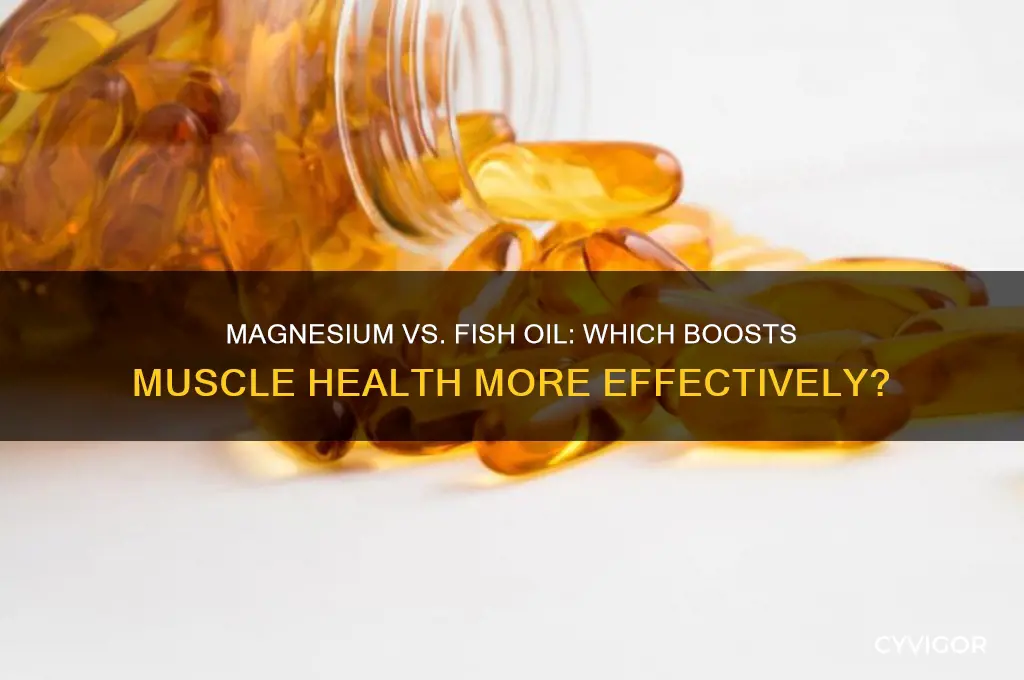 what works better for muscle magnesium or fish oil