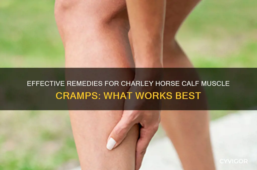 what works for charley horse calf muscle cramps