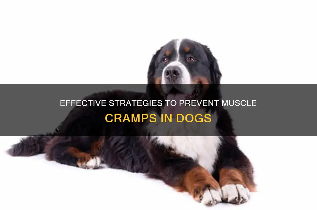 what works for preventing muscle cramps in dogs