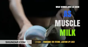 Top Muscle Milk Alternatives: Effective Protein Options for Fitness Enthusiasts