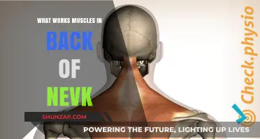 Effective Exercises to Strengthen and Tone Your Neck's Back Muscles