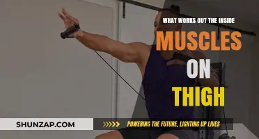 Effective Inner Thigh Workouts: Targeting and Strengthening Hidden Muscles