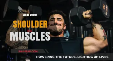 Effective Exercises to Strengthen and Sculpt Your Shoulder Muscles