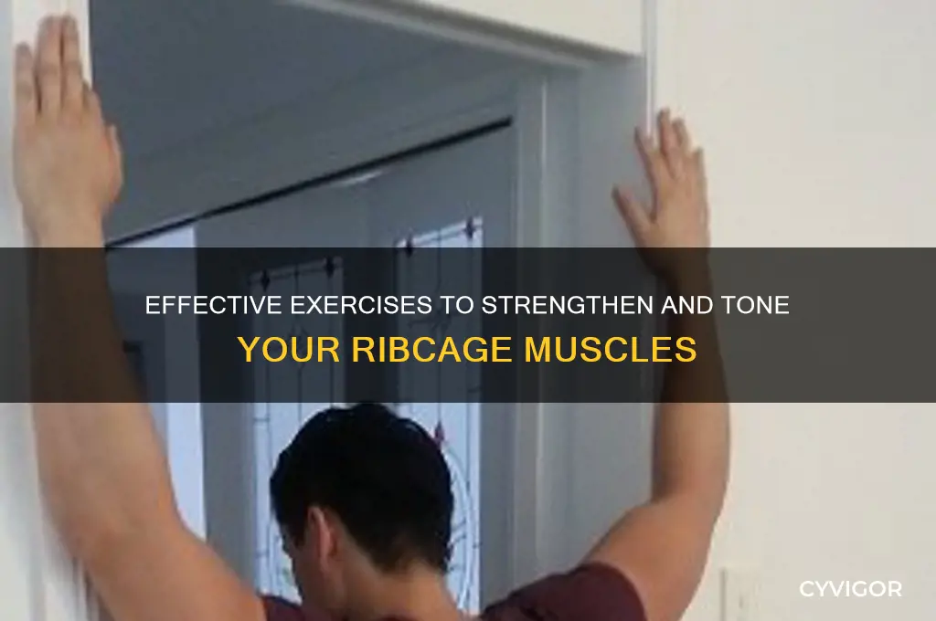 what works your ribcage muscles