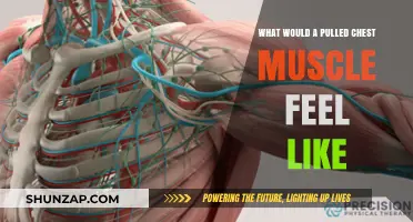 Pulled Chest Muscle Symptoms: Pain, Tenderness, and Limited Mobility Explained
