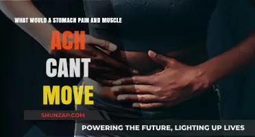 Stomach Pain and Muscle Aches: Causes, Symptoms, and When to Seek Help