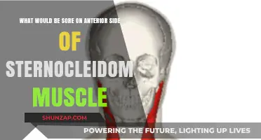 Understanding Anterior Sternocleidomastoid Muscle Soreness: Causes and Relief Tips